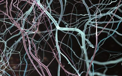 Neurovendas: Entendendo a Ciência por Trás da Venda